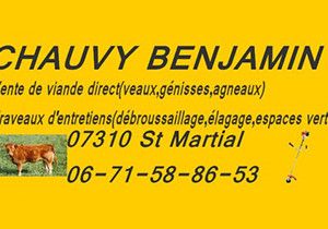 BENJAMIN CHAUVY